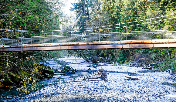 Staircase Olympic National Park