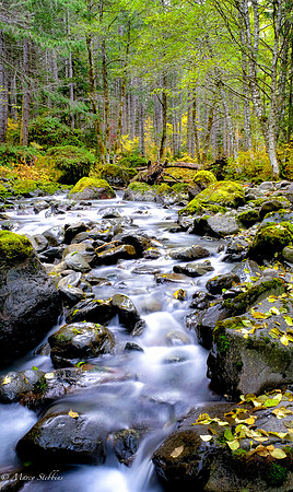 Creek near Hama Hama