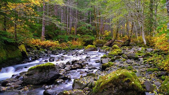 Creek near Hama Hama