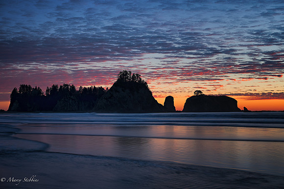 Olympic National Park