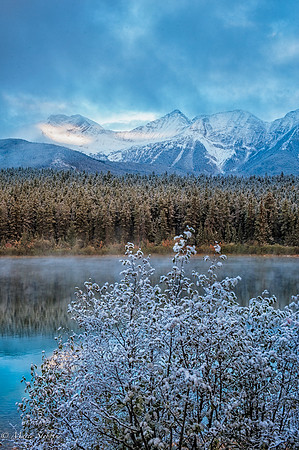 Patricia Lake - Jasper