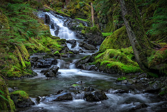 Missy Creek ONP